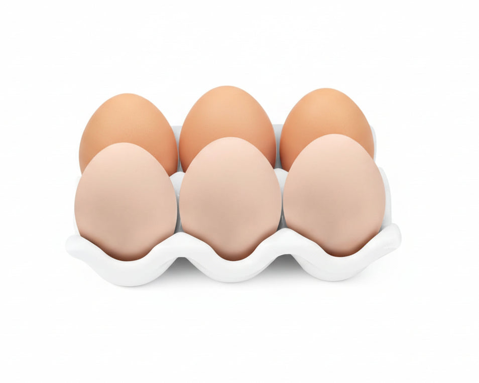 Ceramic Egg Tray – Porcelain Egg Holder – White