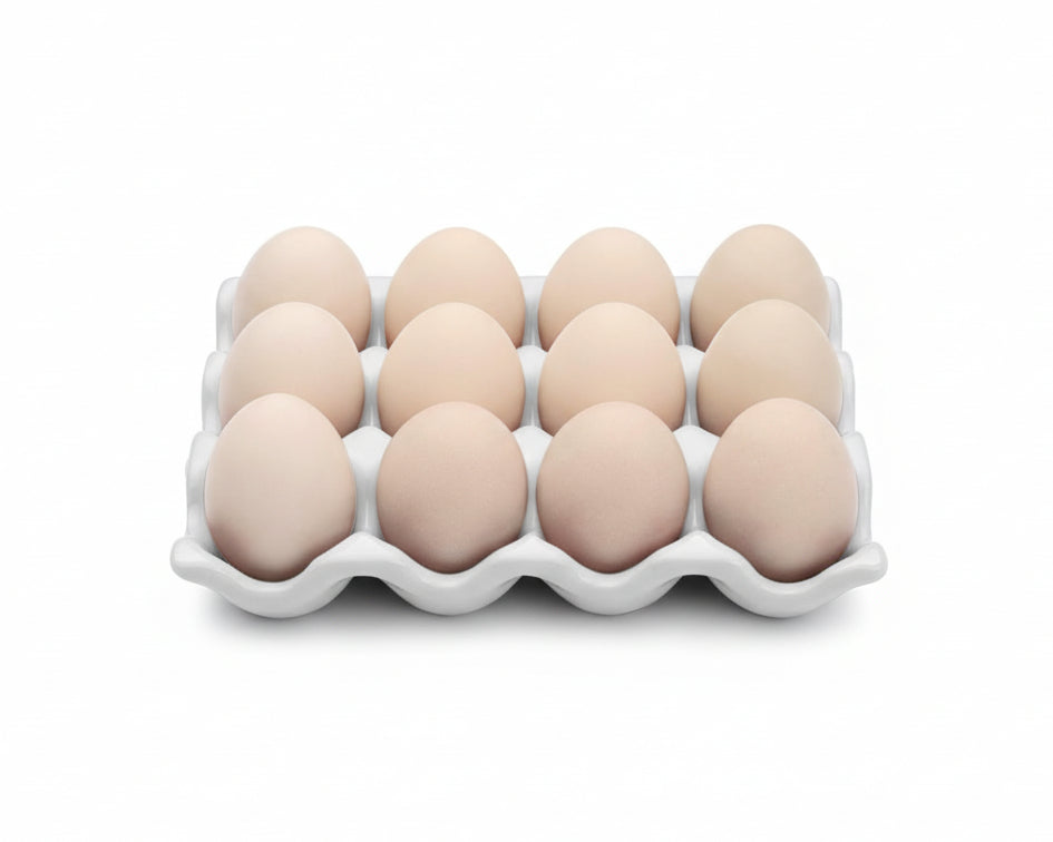12 Eggs Ceramic Egg Holder, 12 Porcelain Egg Tray Storage Box, Non-Slip Egg Plate, Egg Holder, Egg Carrier Egg Box for Home, Kitchen, Fridge, Restaurant, White